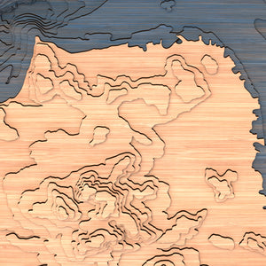 san francisco topographic wood map closeup