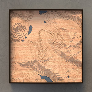 whistler blackcomb topographic wood map full